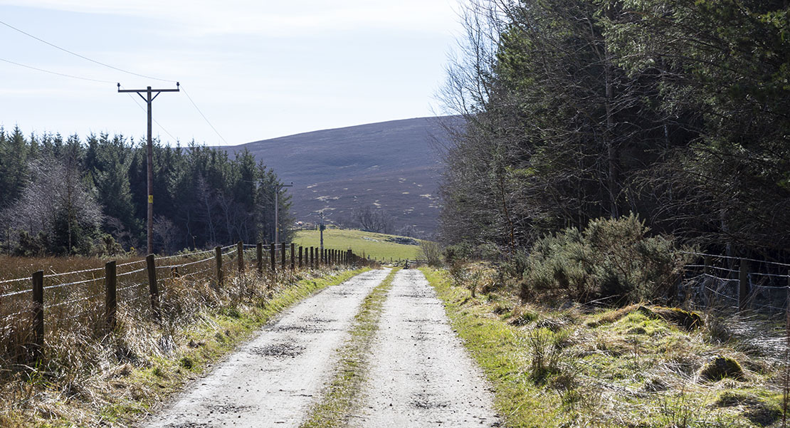 Follow this road to reach the castle.
