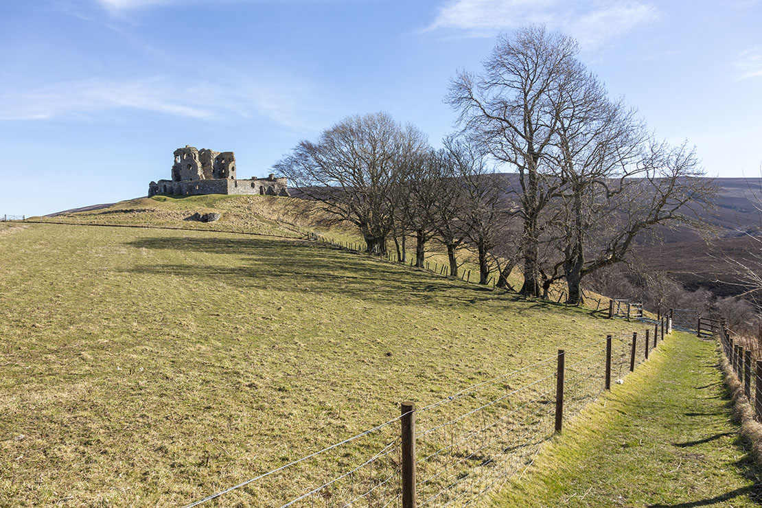 Follow the path to reach the castle.
