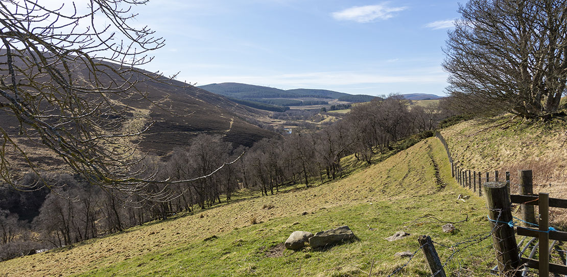 The valley below the castle.