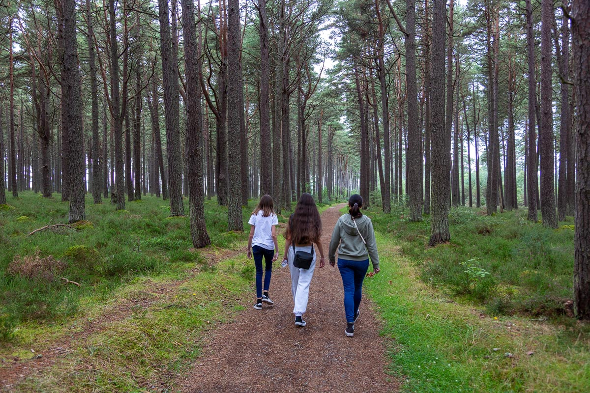 Three girls walking along the forest path through Scots pines in Balblair Wood near Golspie