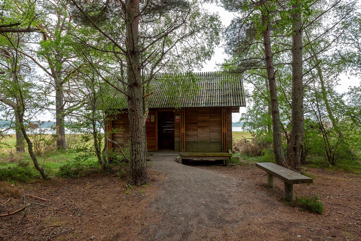 The Balblair Bay bird hide at the edge of the woodland overlooking Loch Fleet