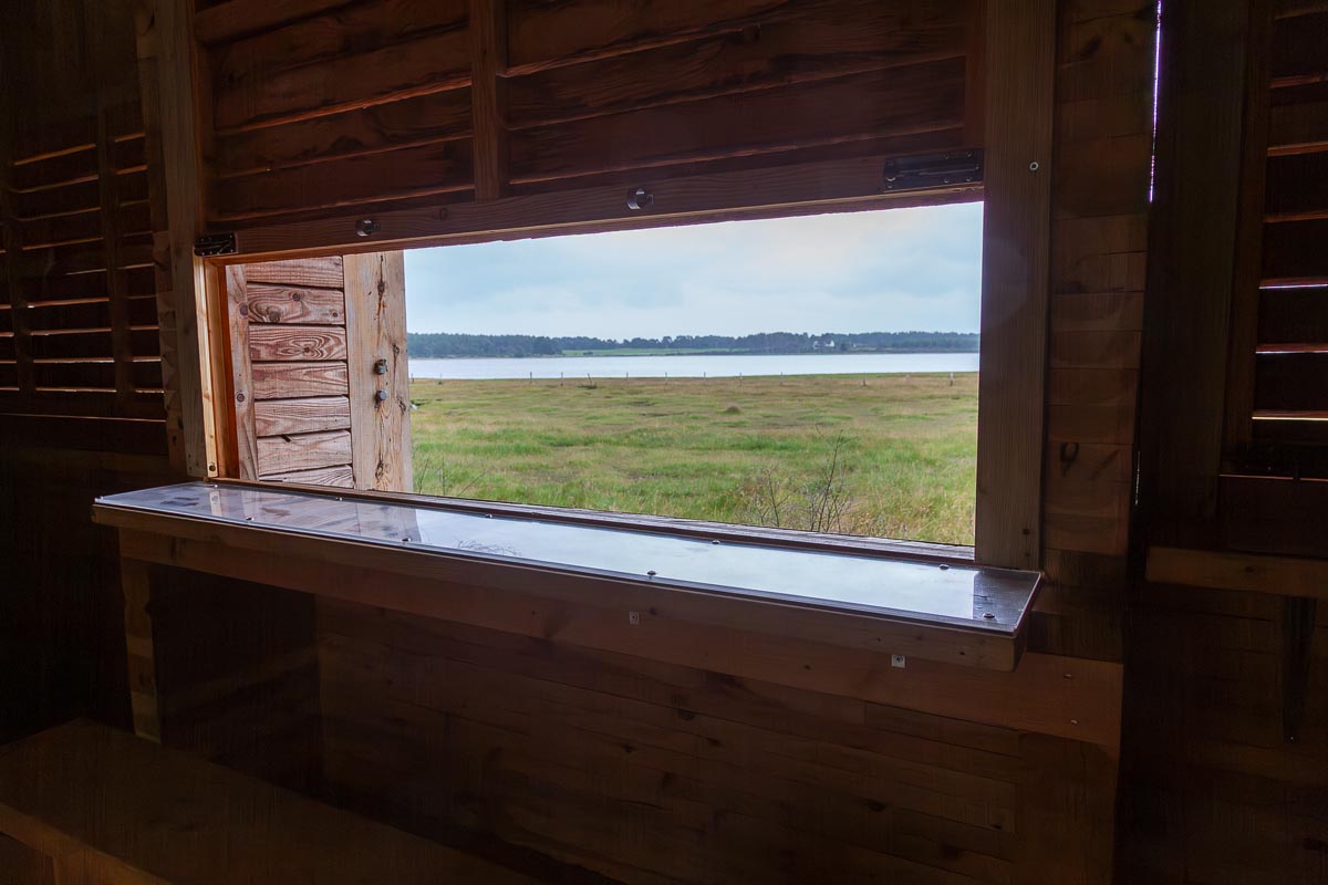 View from inside the bird hide looking across saltmarsh to the tidal waters of Loch Fleet