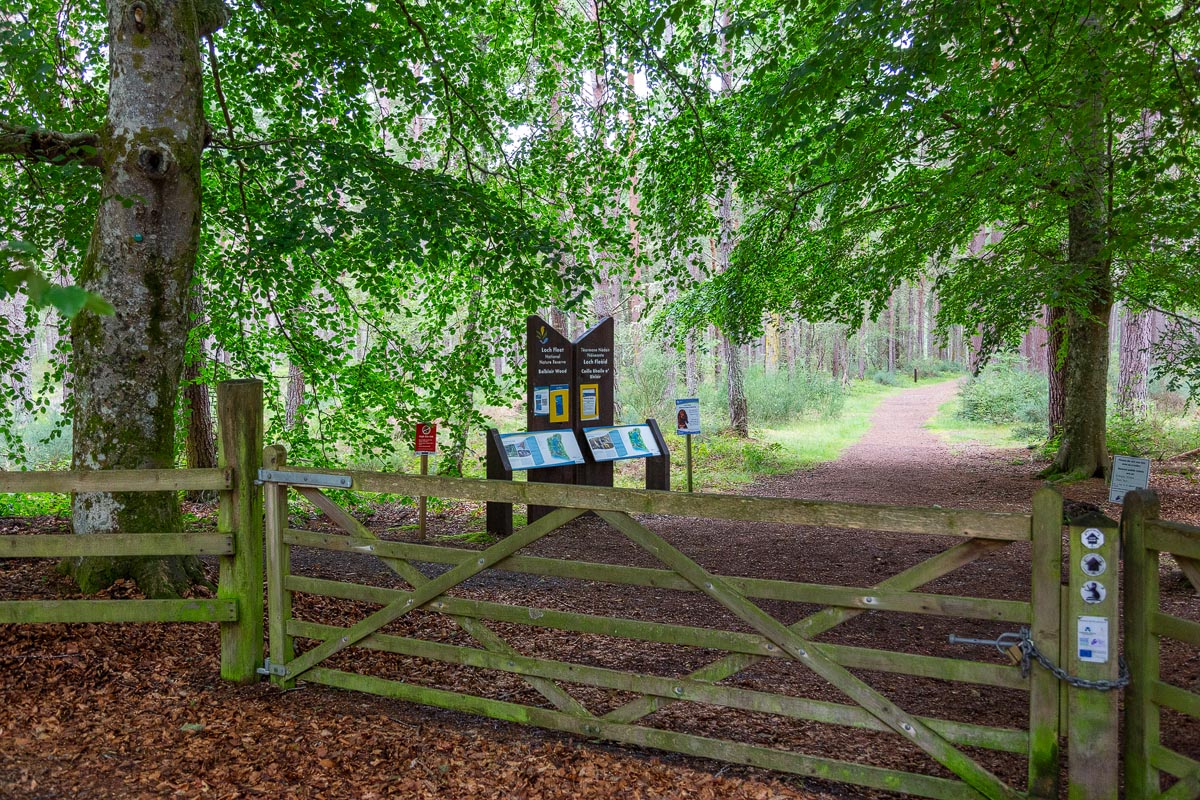 Entrance gate to Balblair Wood with NatureScot information boards and path leading into the woodland