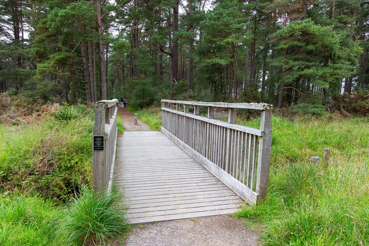 Wooden footbridge crossing a burn in Balblair Wood with Scots pine forest beyond
