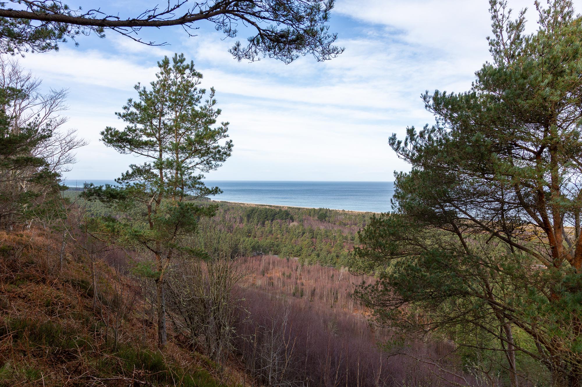 Binn Hill Viewpoint / Lein Nature Reserve near Kingston