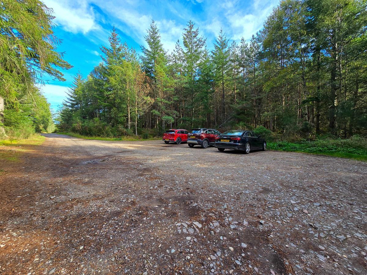 Gravel north car park at Loch of Blairs surrounded by pine and spruce woodland