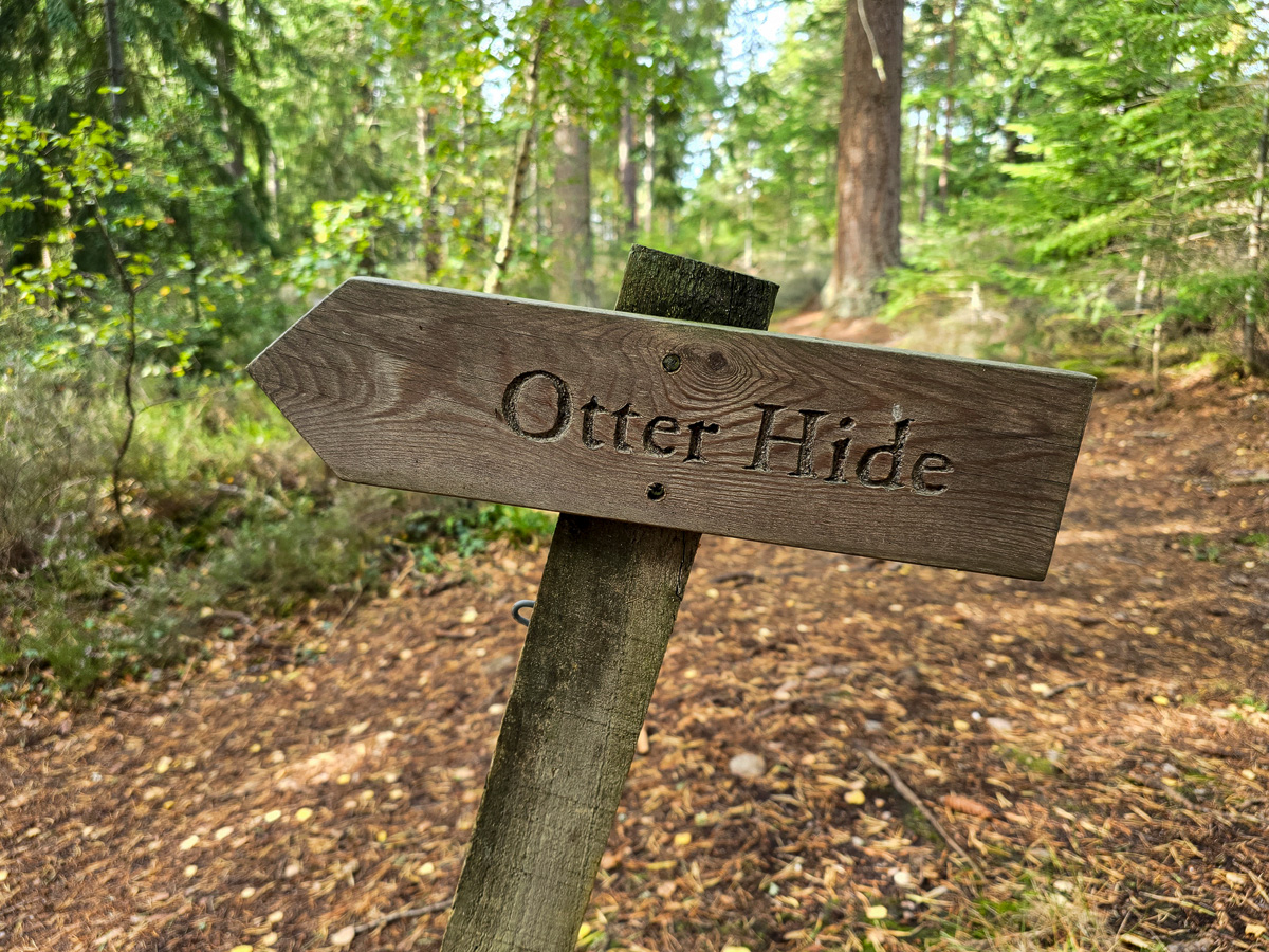 Carved wooden signpost pointing to the Otter Hide at Loch of Blairs