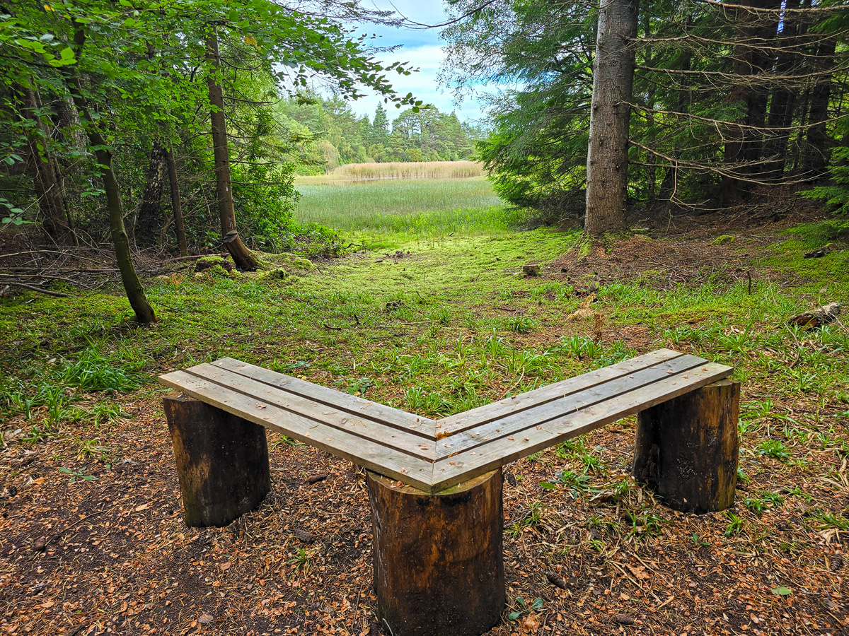 Rustic V-shaped wooden bench made from logs looking out over reeds at the edge of the loch