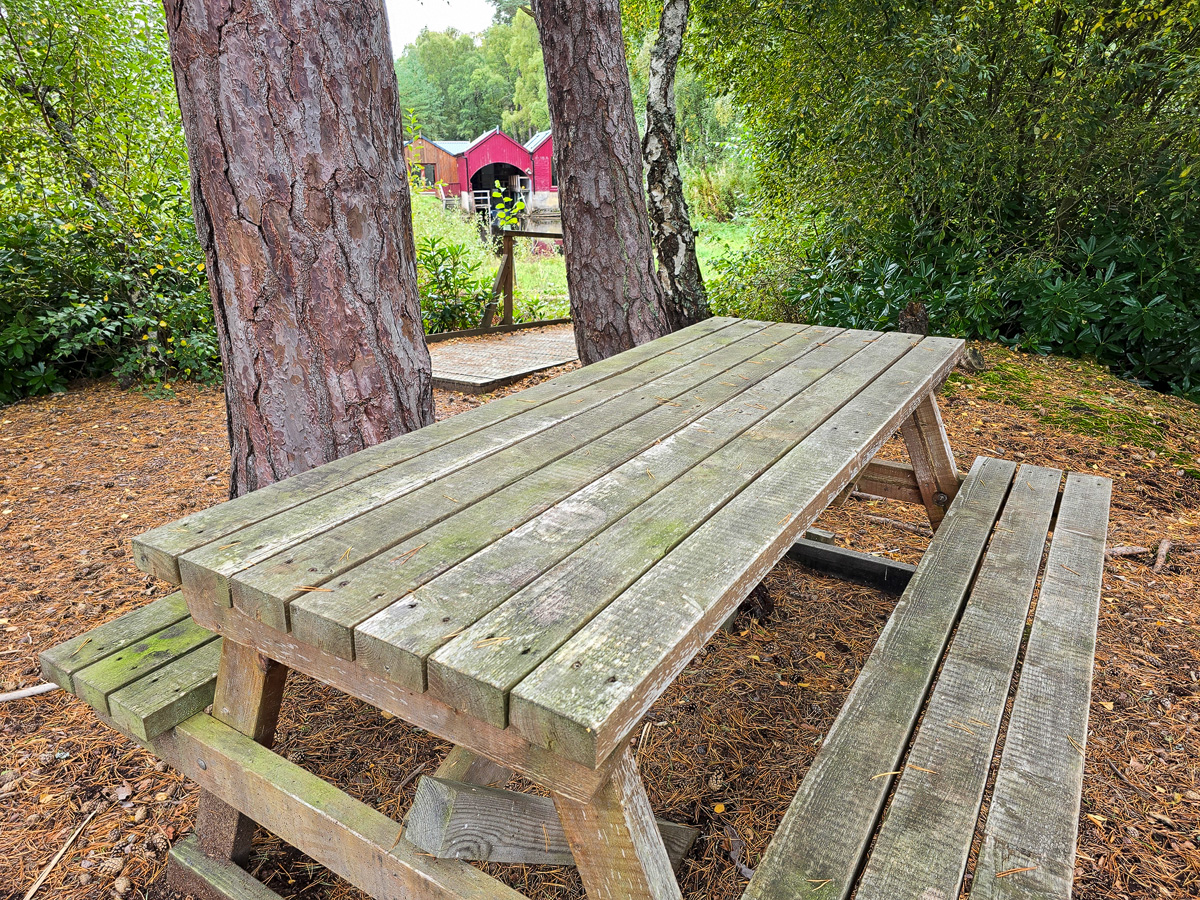 Wooden picnic table under Scots pines with the red boathouse in the background