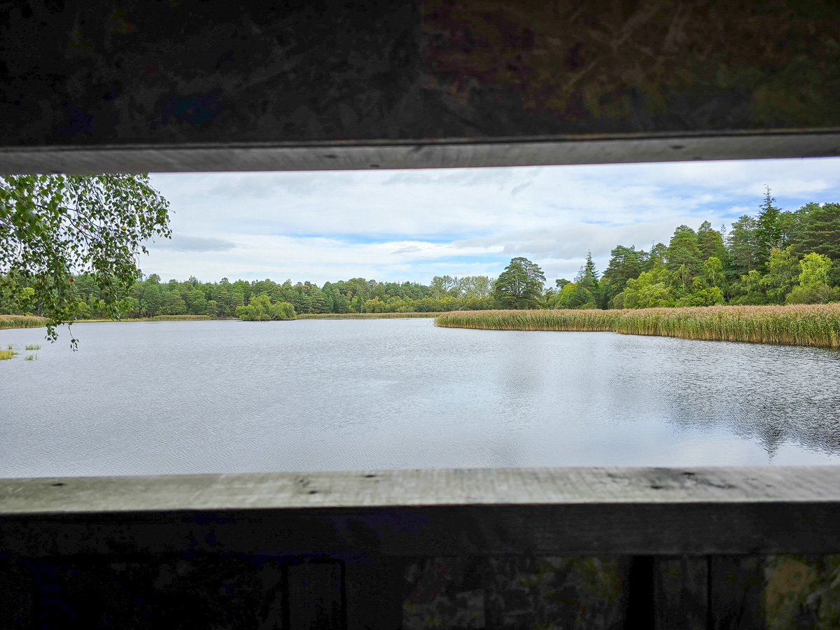 View through a bird hide window across open water and reedbeds at Loch of Blairs