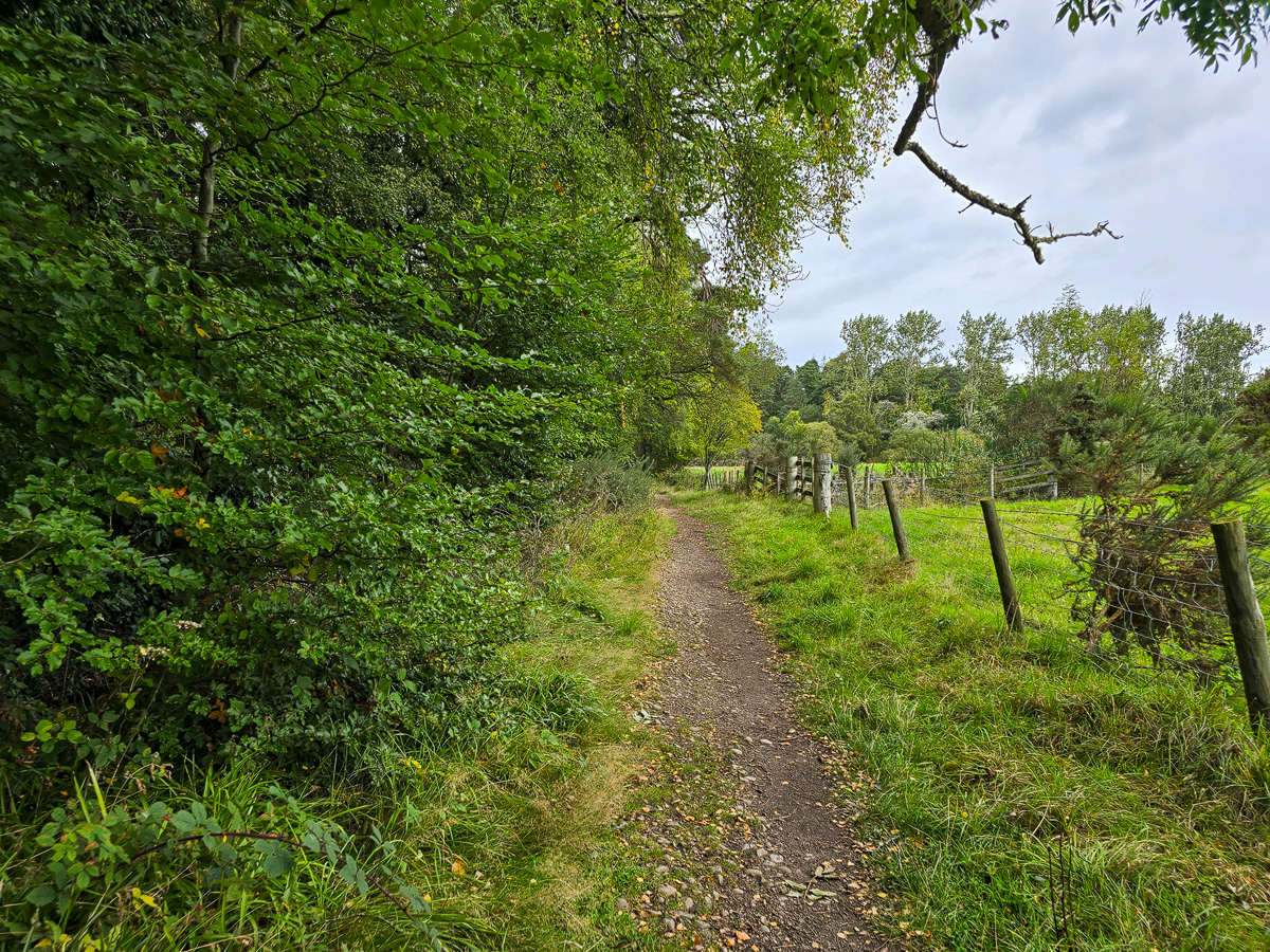 Narrow footpath running between woodland and a fenced field on the east side of the loch