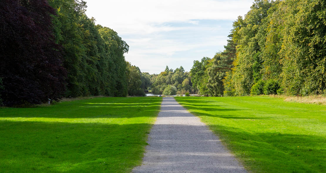 Path to the pond.