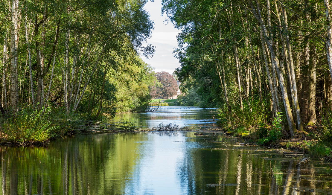 Pond castle view.