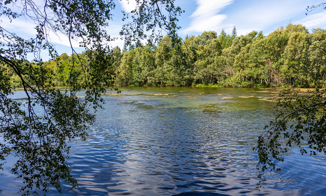 Brodie Castle Pond