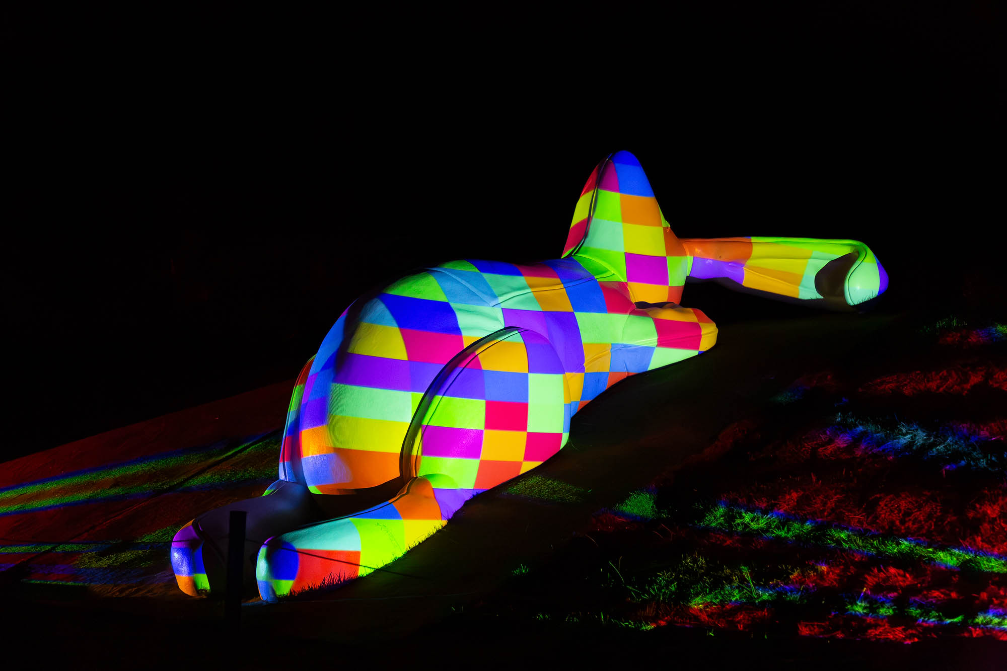 Brodie Illuminated at Brodie Castle