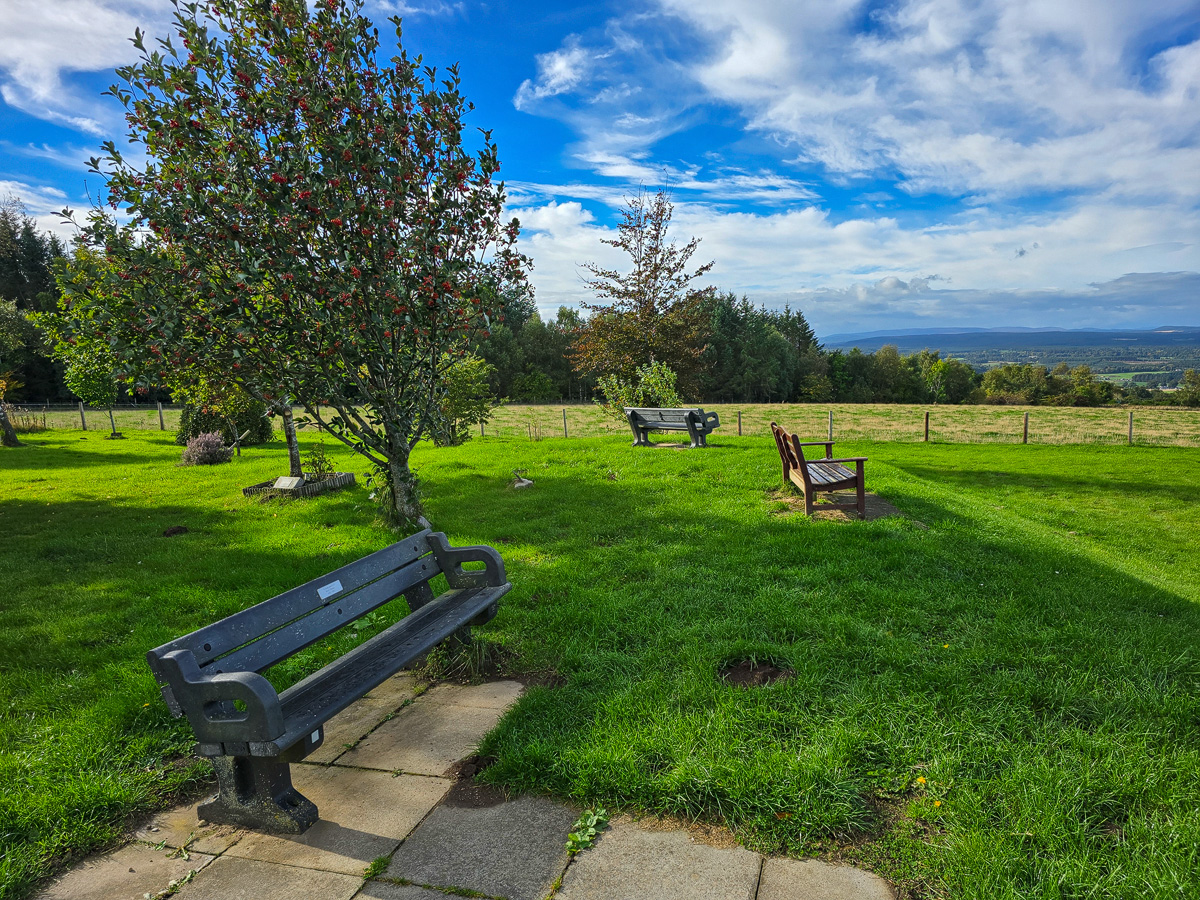 Benches on grass beside a holly tree with berries and a view south over Moray countryside