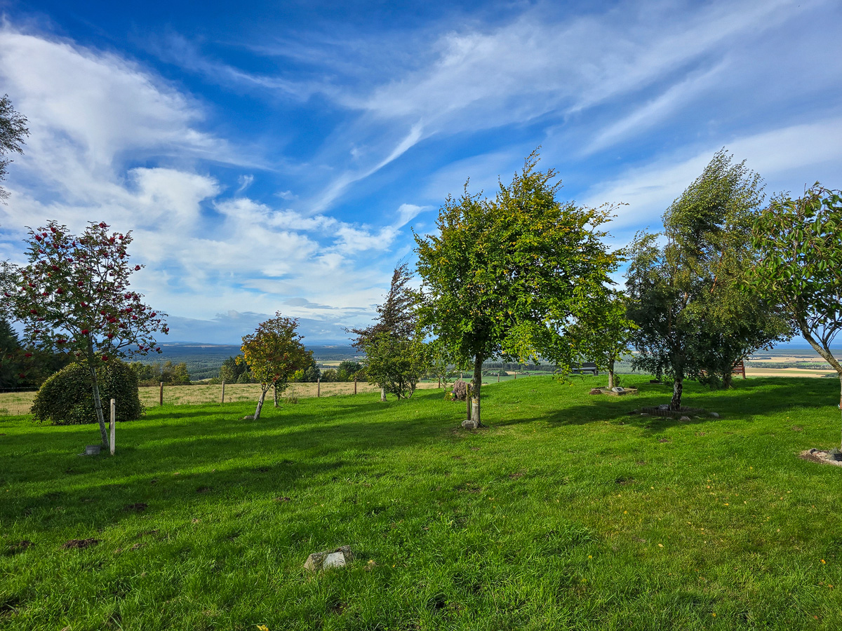 Memorial trees on the lawn at Califer Hill with farmland beyond