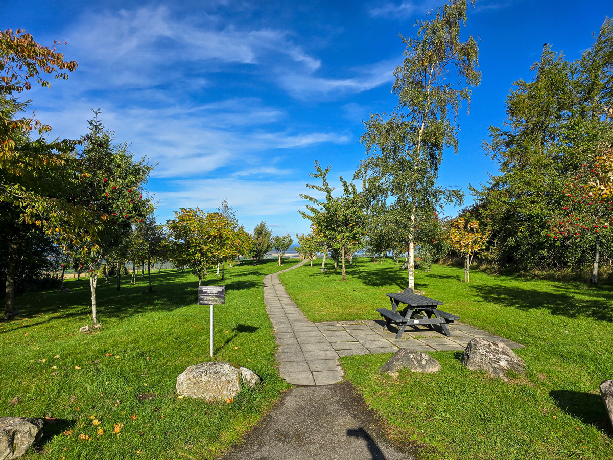 Paved path from the car park with an information sign and picnic bench among trees