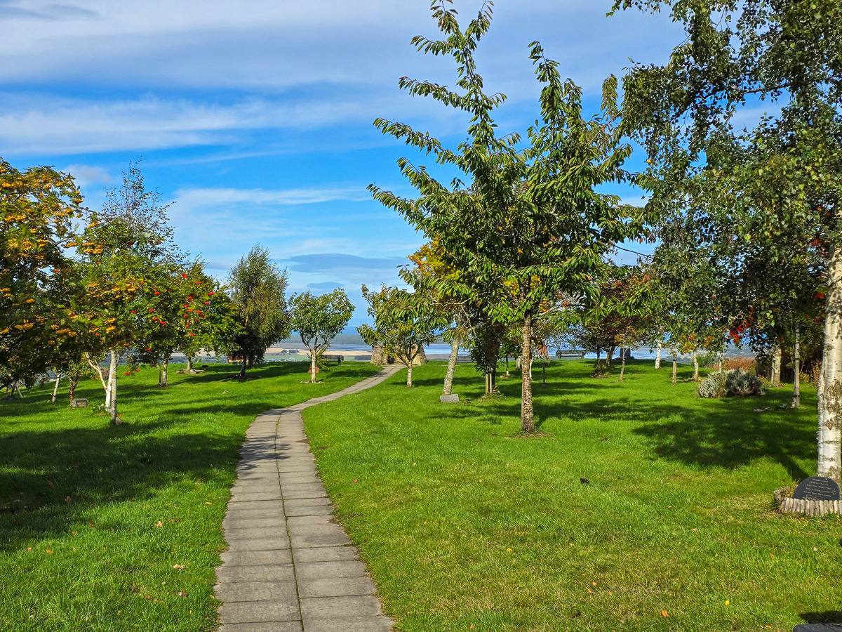 Tree-lined paved path at Califer Hill with Findhorn Bay visible in the distance