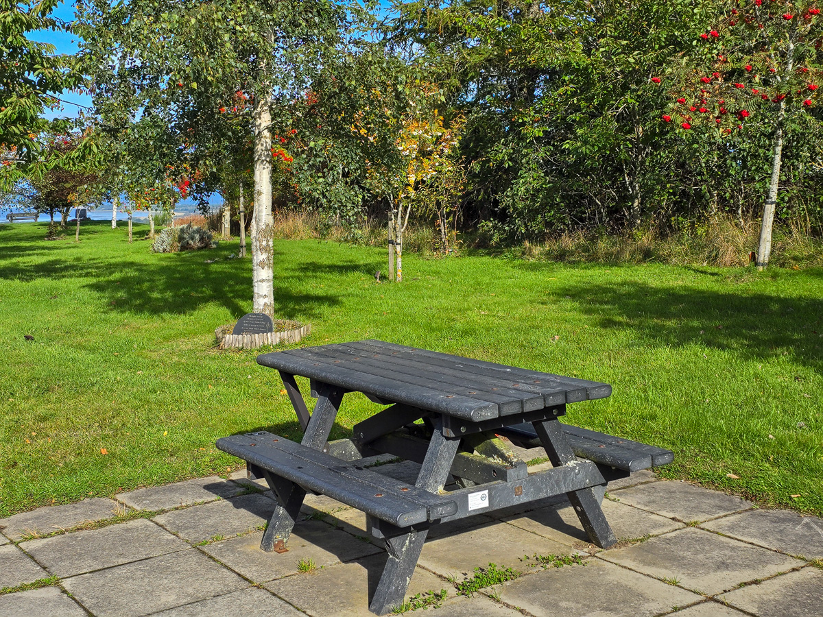 Picnic bench on paving beneath birch and rowan trees at Califer Hill