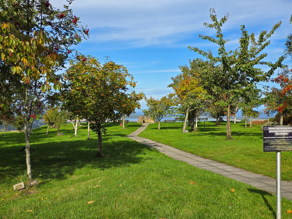 Council sign stating that no new trees or memorial plantings are permitted at Califer Hill
