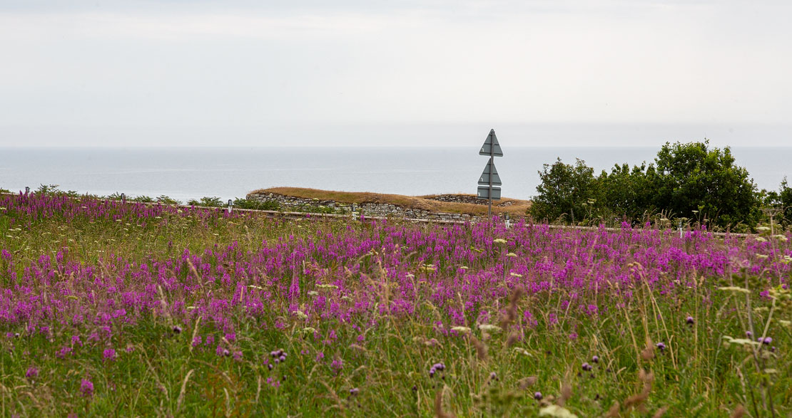 Broch view from the layby.