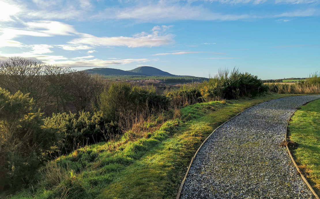 Bin of Cullen from Castle Hill.
