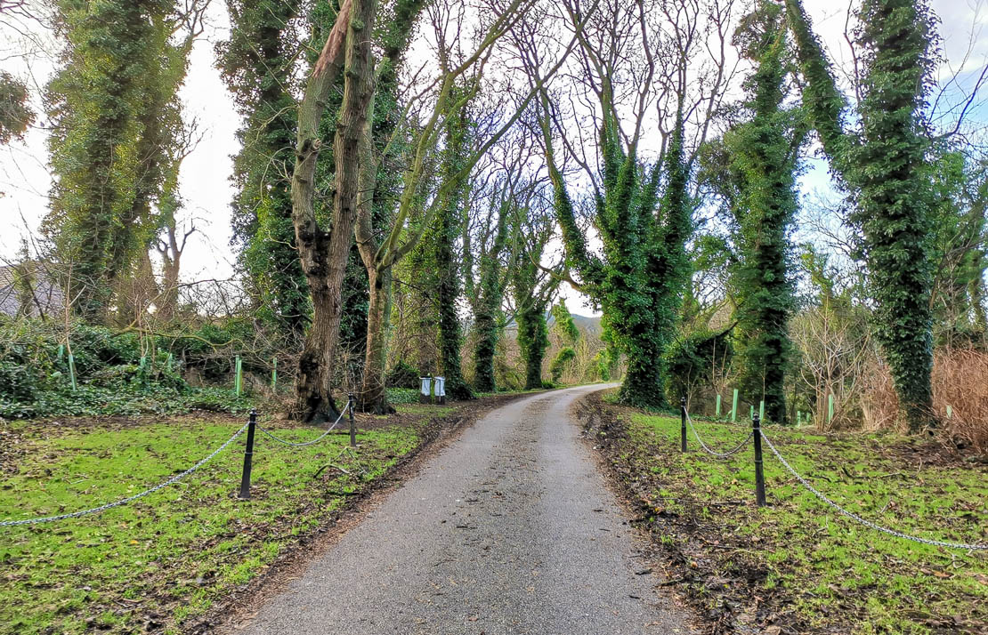 Cullen House Road.