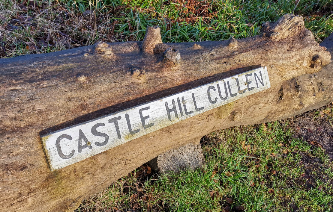 Tree trunk sign for Castle Hill.