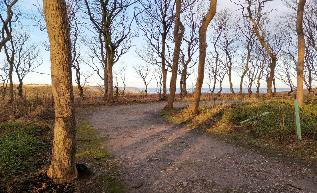 Path to Castle Hill with Cullen Bay.