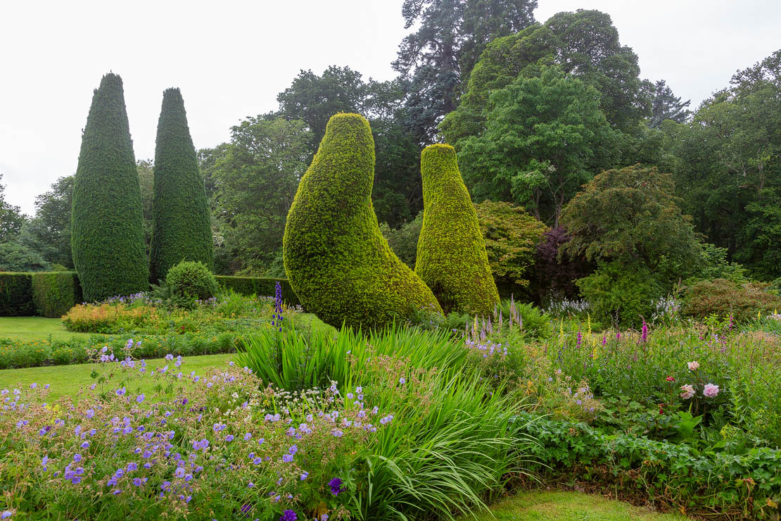Pruned bushes in Cawdor flower garden.