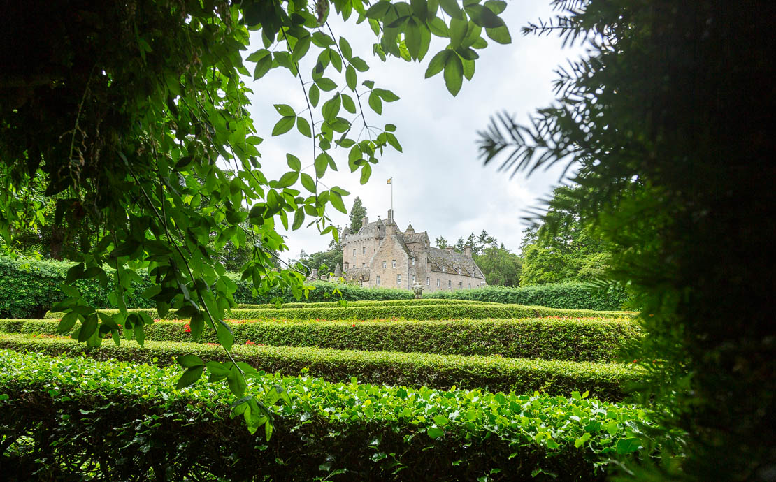 Garden maze with bronze dinosaur.