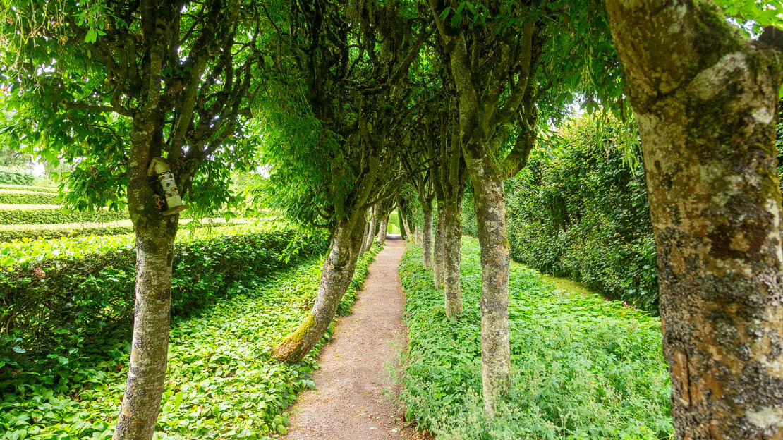 Tree lined paths.