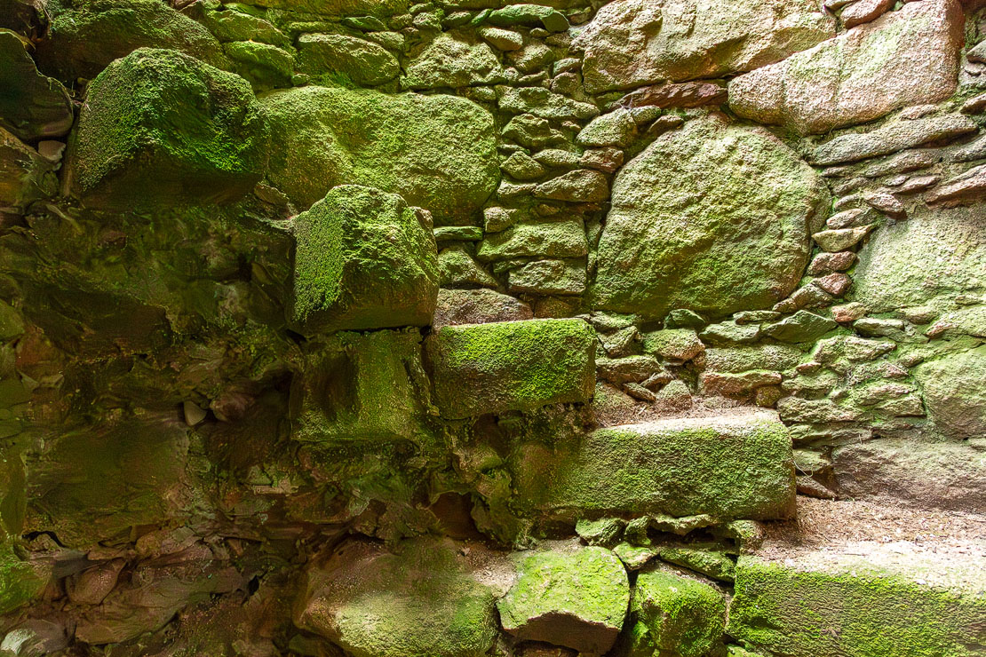The moss-covered remains of a stone spiral staircase – tread carefully!