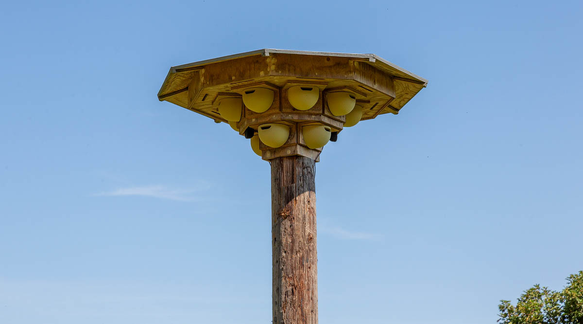 A wooden swift nesting tower with multiple nest cups mounted on a tall pole in the grounds of Craigievar Castle