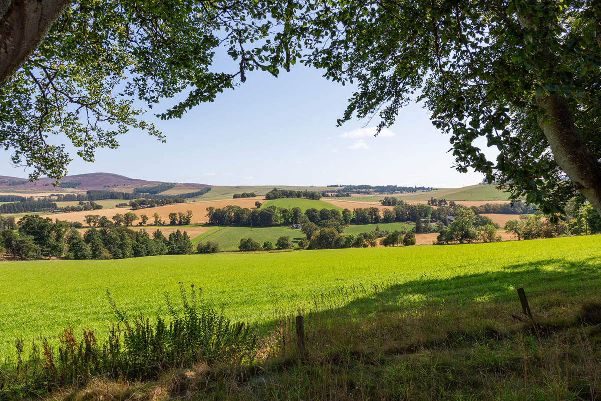 Panoramic view of rolling Aberdeenshire countryside with patchwork farmland and distant hills seen from Craigievar Castle grounds