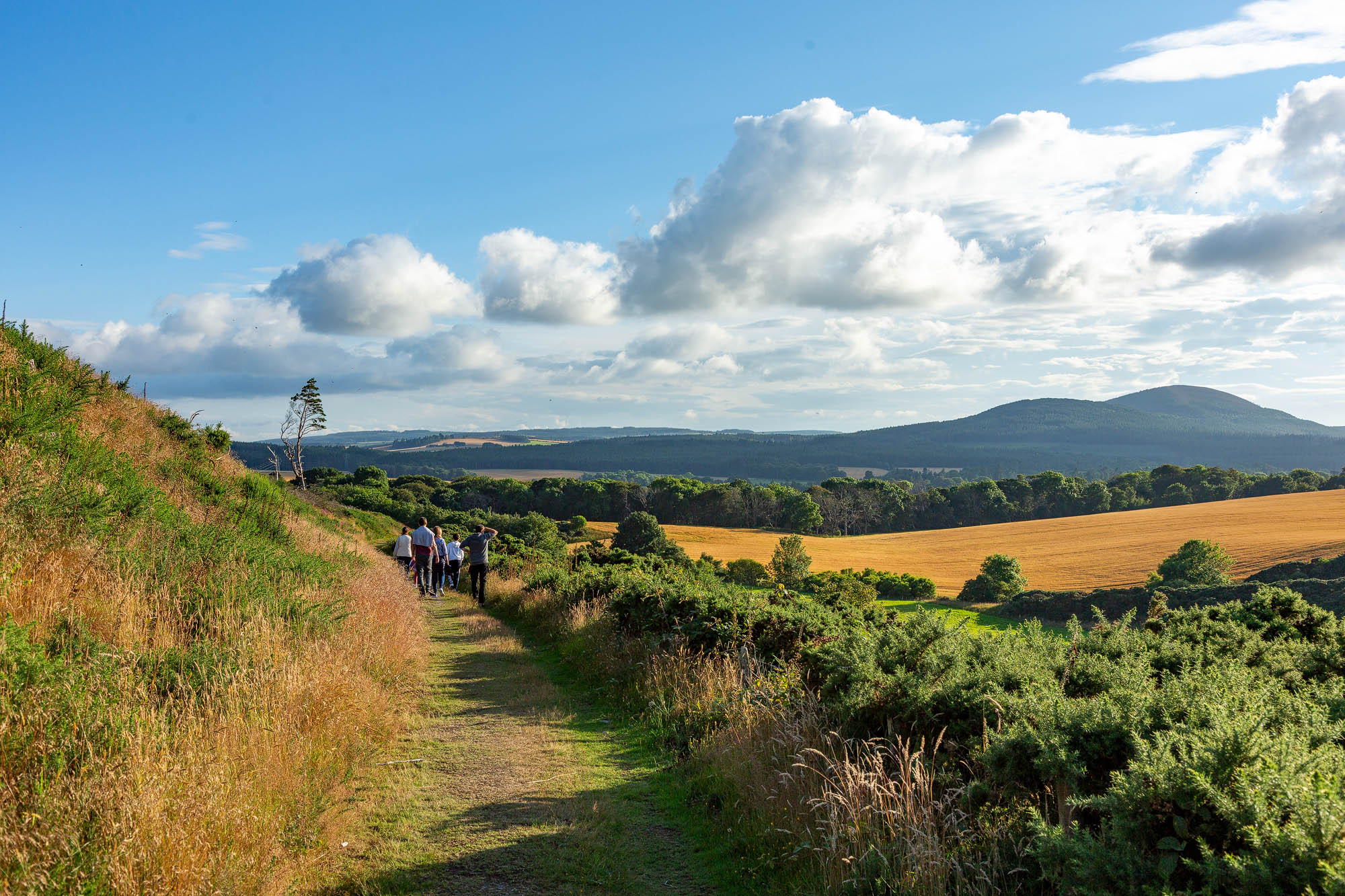 Crannoch Circular Walk, Cullen