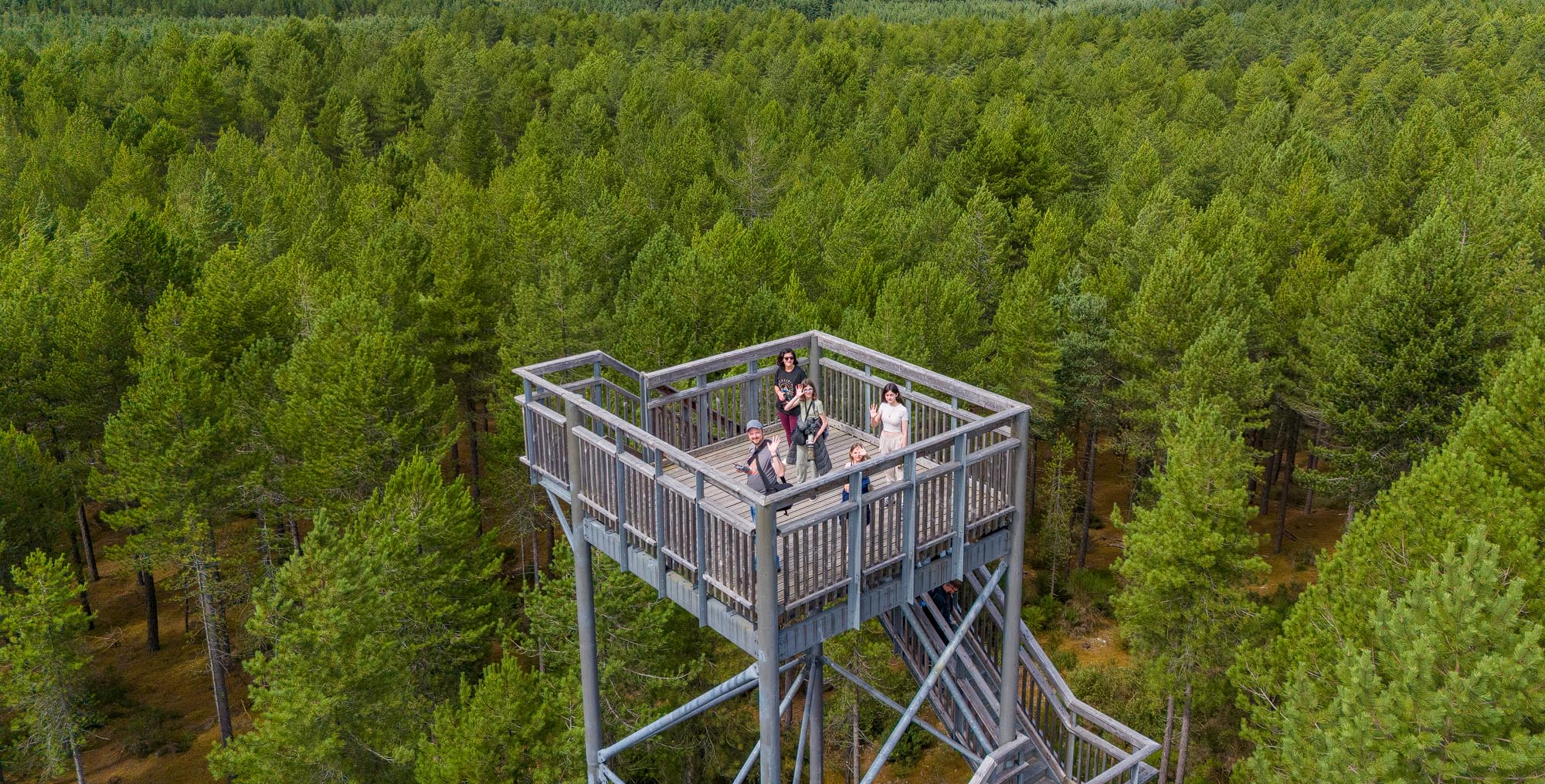 Culbin Forest Walk / Hill 99 Trail