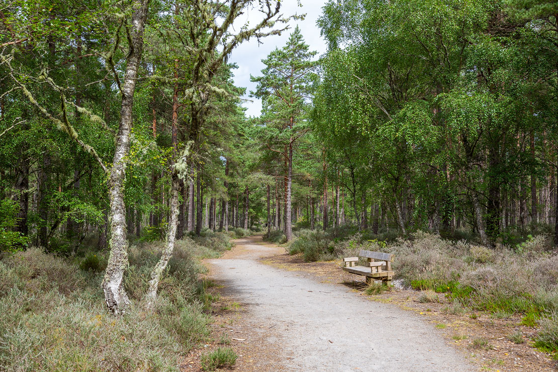 Culbin path.