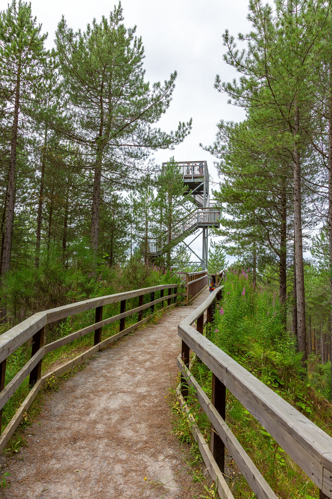 Path to the Culbin tower.