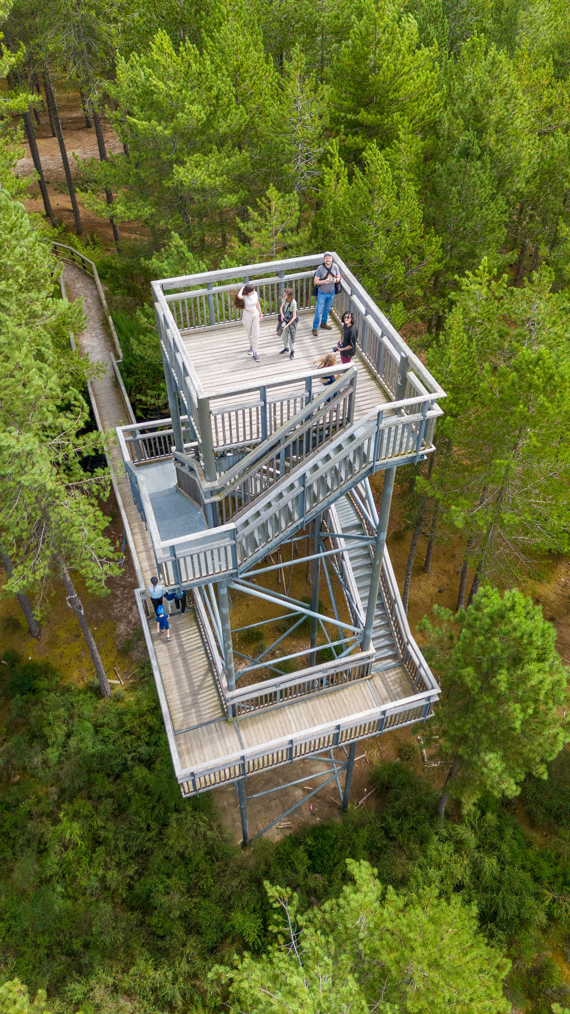 My family on the Culbin viewpoint tower. Culbin Forest Hill 99.