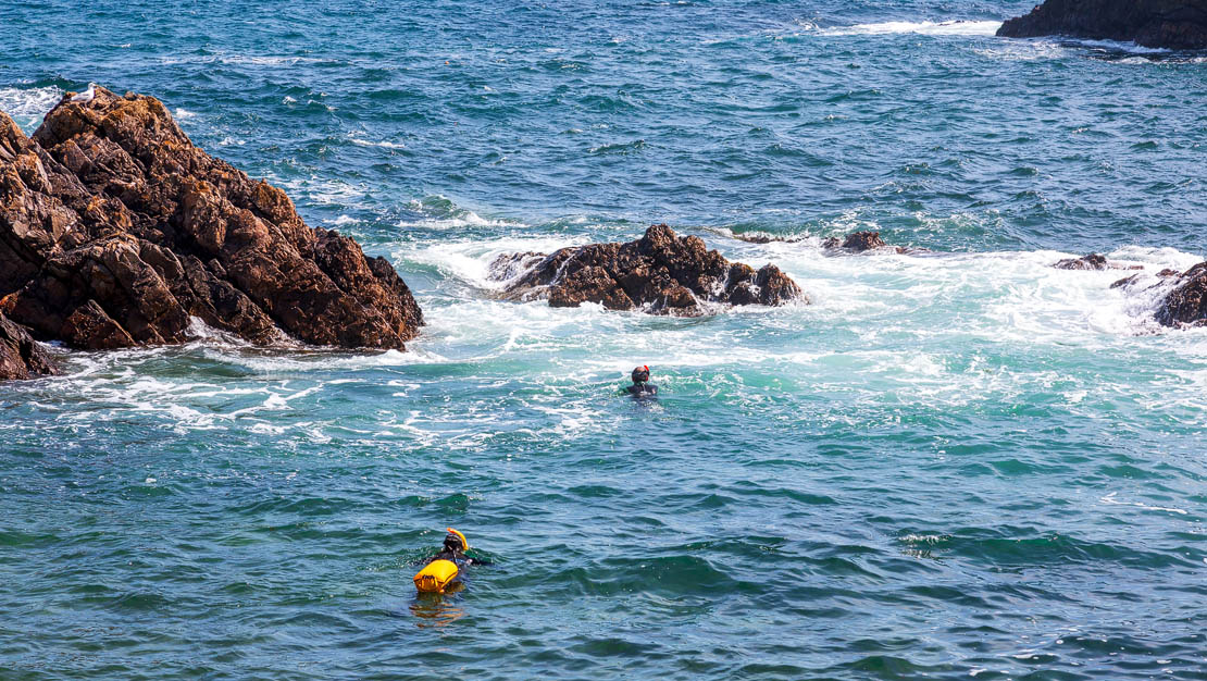 Snorkelling.