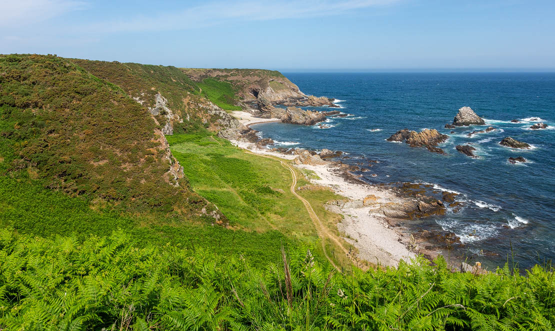Path from caves to Whale's Mouth.