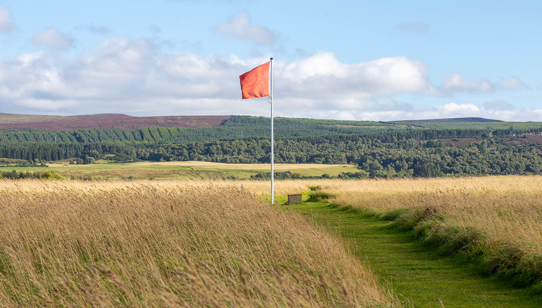Government red flag.