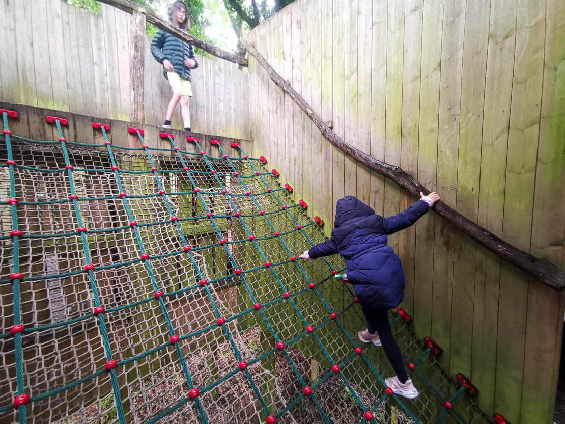 Play net