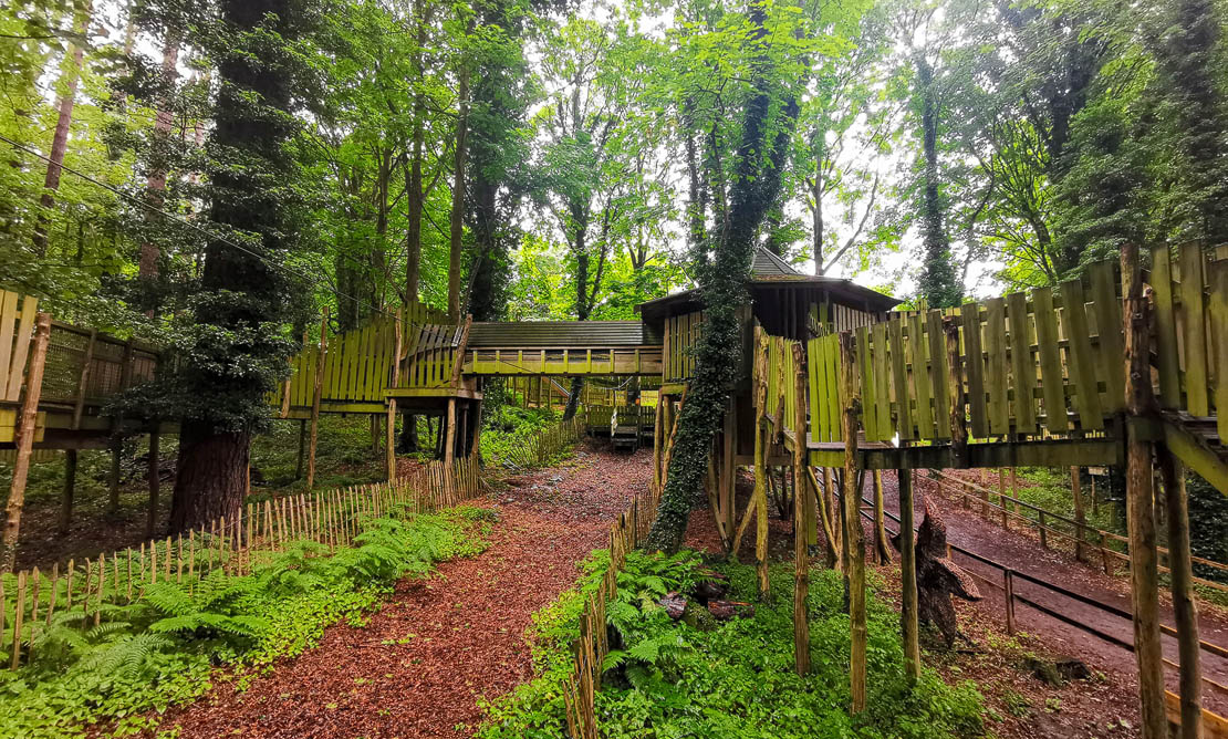 Wild Wood zip line.