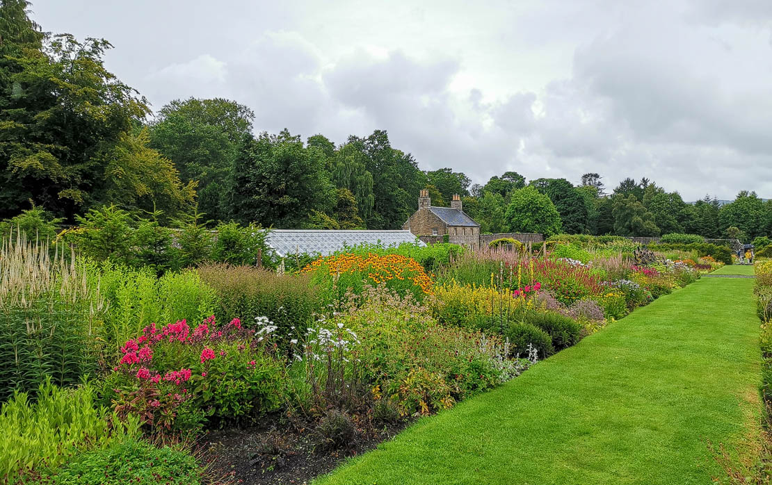 Walled garden flowers.