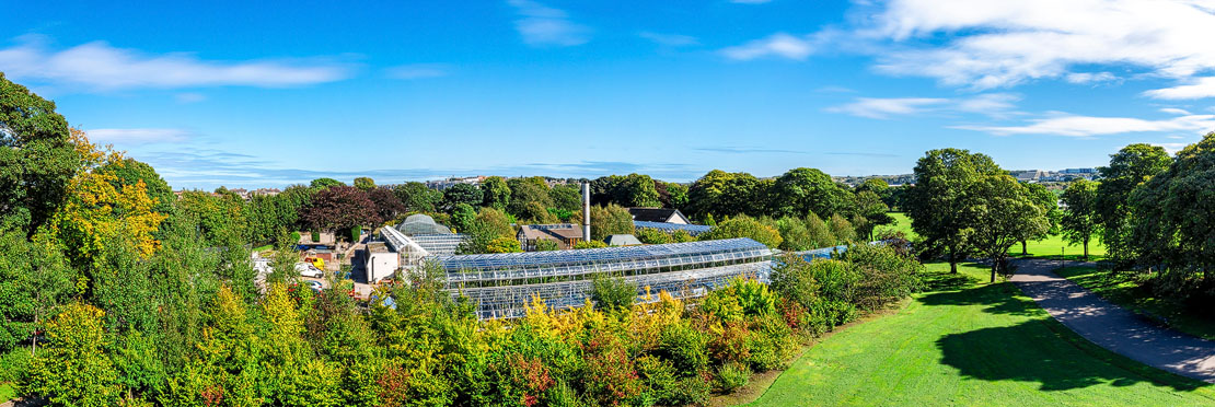 Duthie Park and David Welch Winter Gardens. Explore Aberdeen.