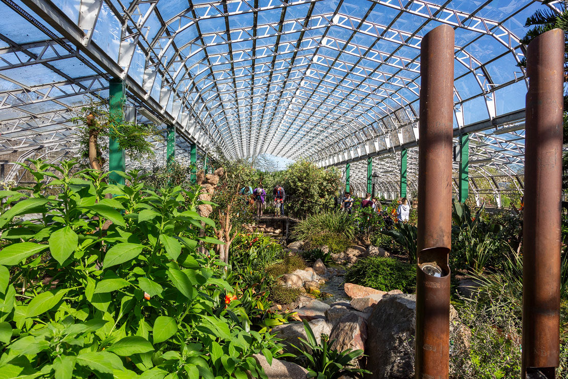 View across the glasshouse with water feature, lush plantings, and rustic pipe sculptures