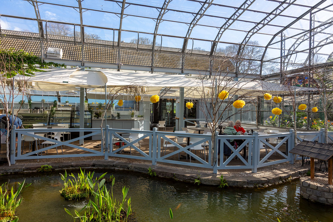 The cafe seating area overlooking the koi pond within the glasshouse